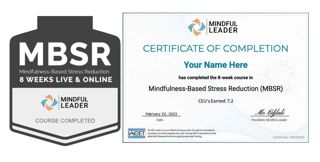 MBSR20 - Badge & Certificate Image-Low-Quality