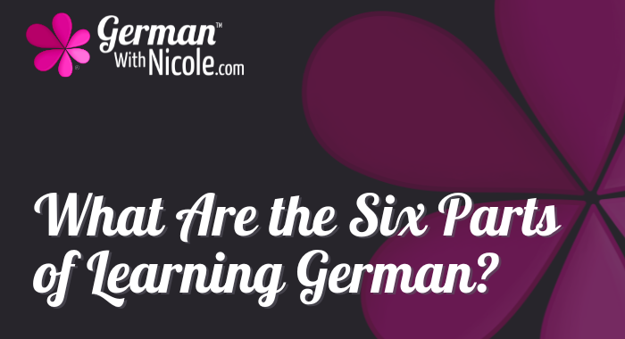 What Are the Six Parts of Learning German Cover NEW