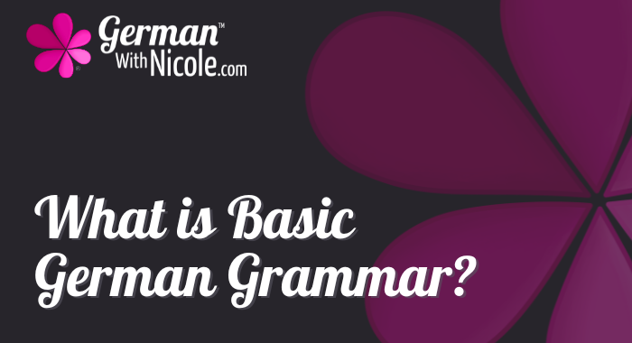 What is Basic German Grammar Cover NEW