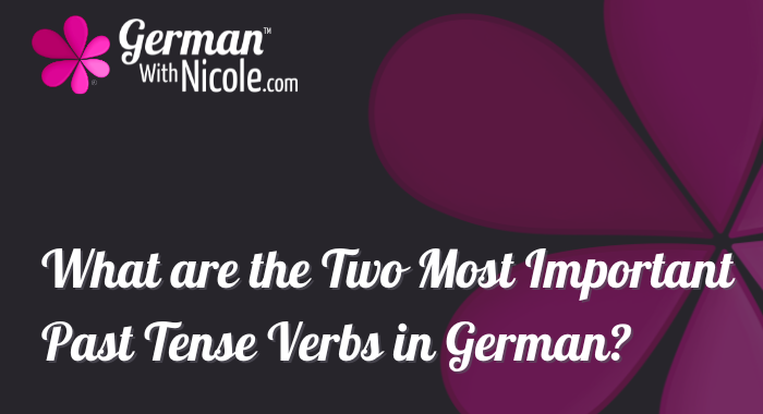 Two Most Important Past Tense Verbs German Cover NEW