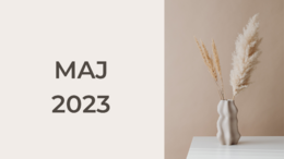 cream, minimalist 2023 monthly Calendar (7)