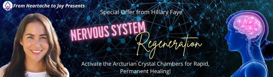 Hillary Sales-Page-Banner Nervous System