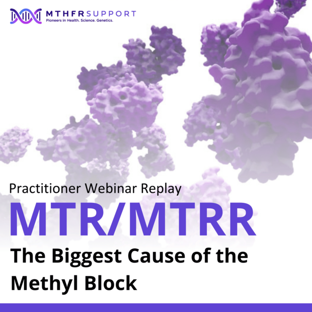 MTRMTRR – The Biggest Cause of the Methyl Block Webinar Replay