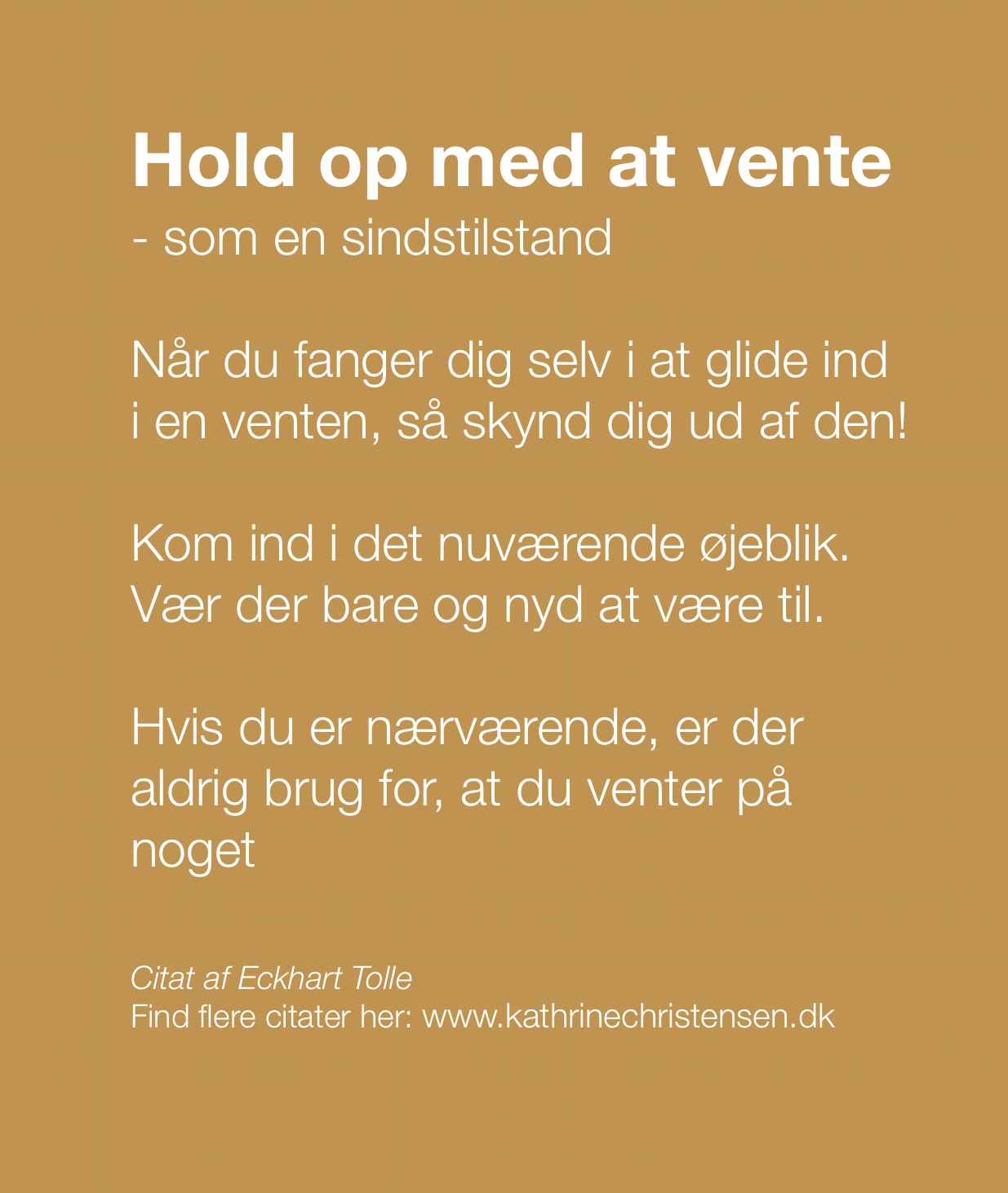 Hold op med at vente www.kathrinechristensen.dk januar 2023 citat - beskåret jpeg