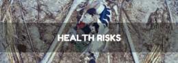 HEALTH RISKS