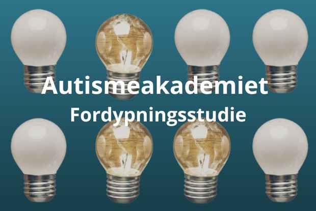 Autismeakademiet fordypningsstudie