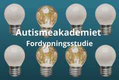 Autismeakademiet fordypningsstudie