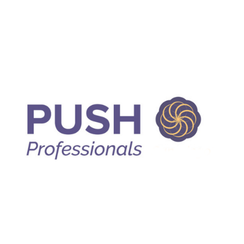 PUSH Professionals logo