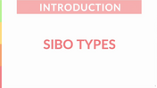 1.5 NEW SIBO Types lesson