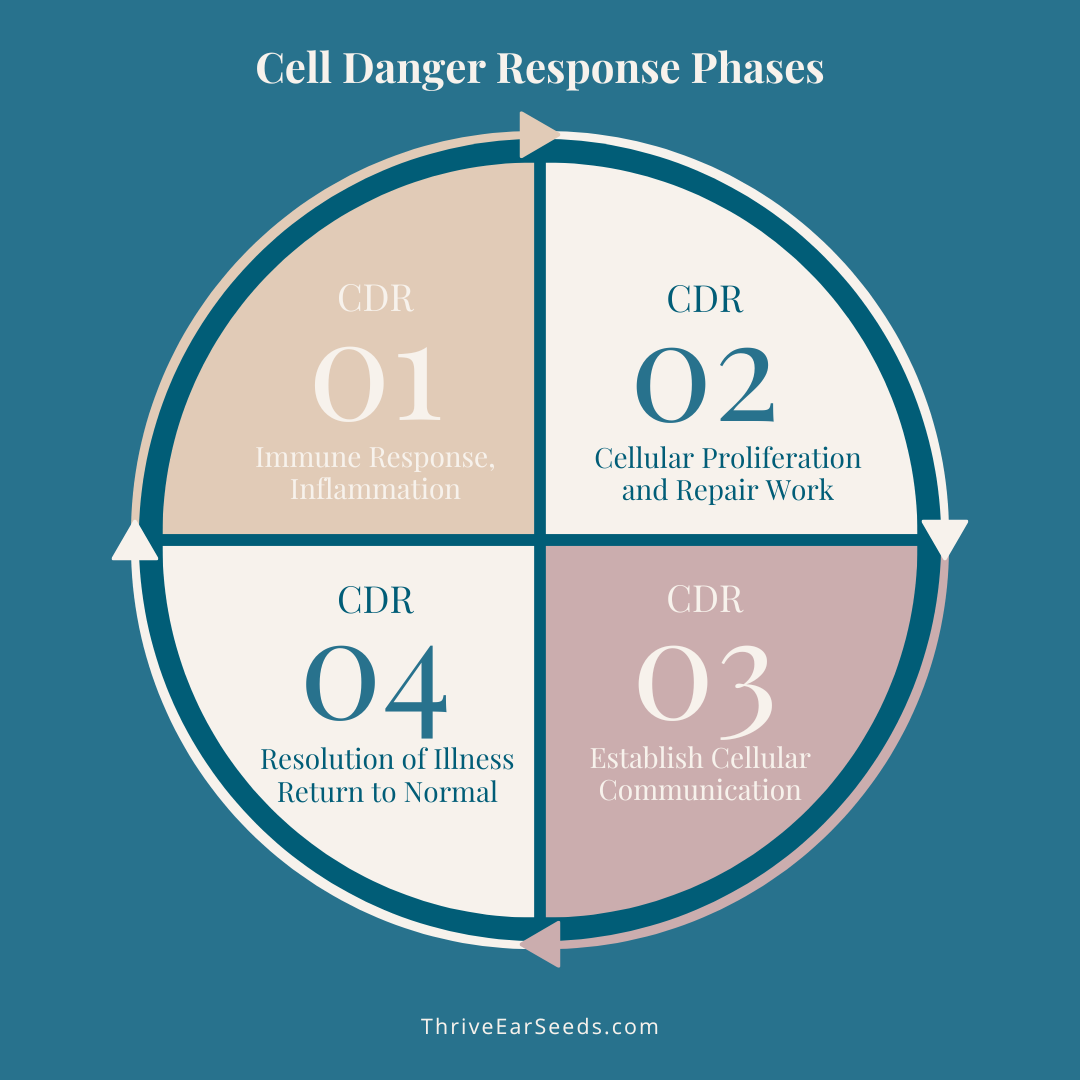 CDR Phases