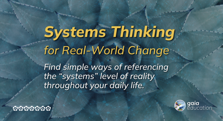 Systems Thinking for Real-World Change