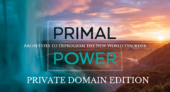 Card image primal power PRIVATE DOMAIN (700 × 380 px)
