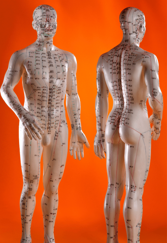 About Acupuncture Compressed Images