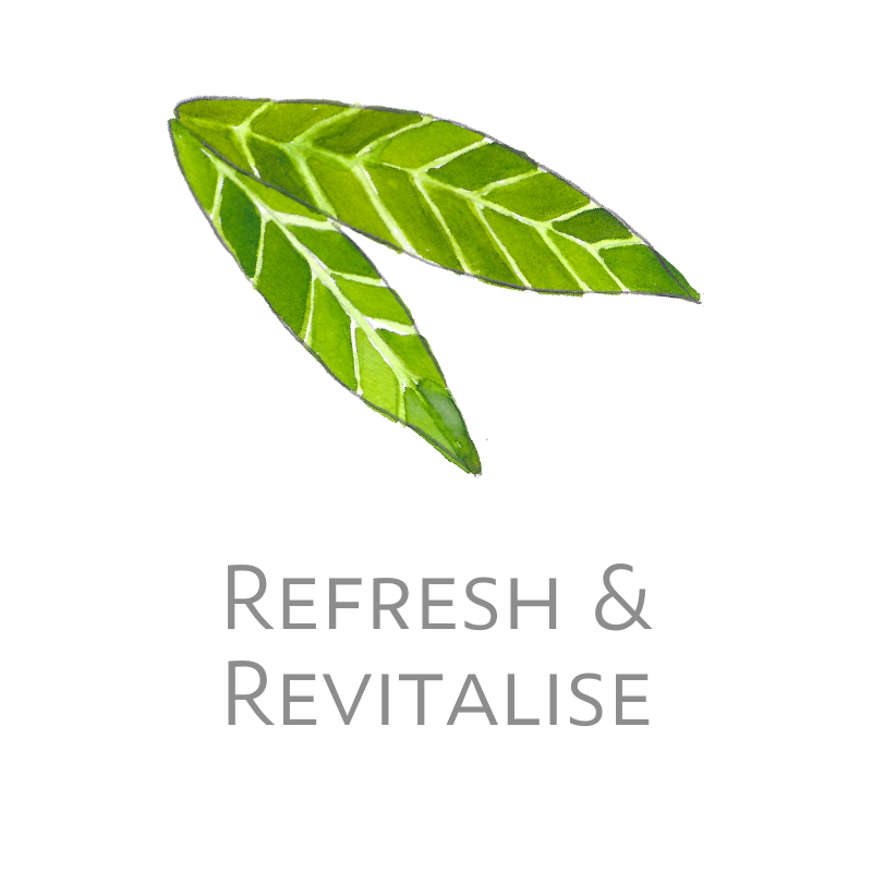 Work With Me Image Refresh and Revitalise Consultation v1 (800 × 800 px)