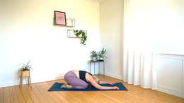 Yoga for nervesystem_yogavideo
