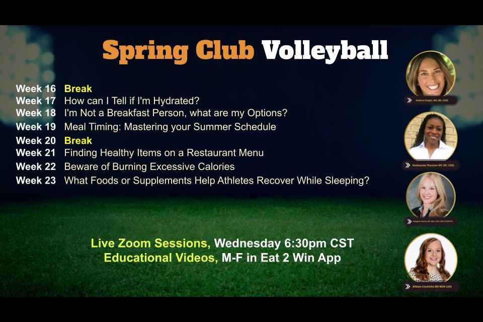 Volleyball Spring Part 2