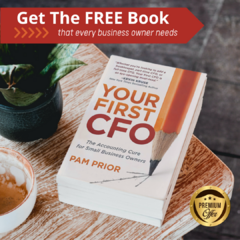 Get Your book your first cfo