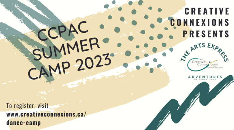 Summer Camp - Pop Stars and Rockers