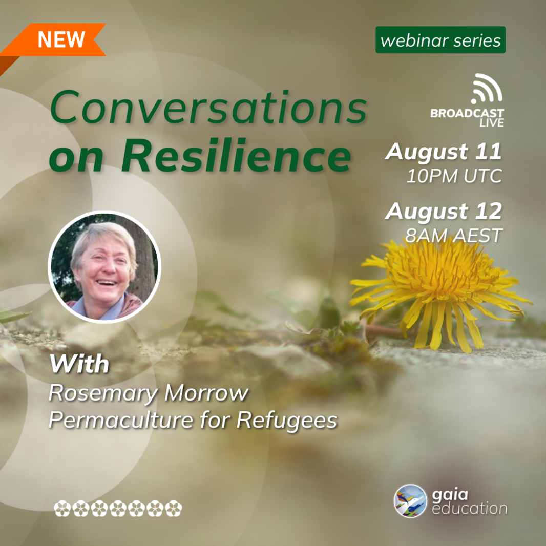 Webinar1108_Conversations on  Resilience _IG post