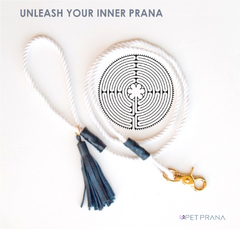 Unleash Your Inner Prana