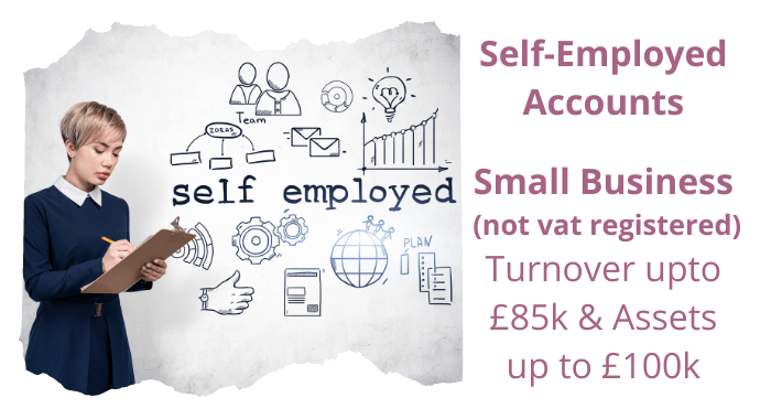 Card Image - Self Employed  - Small (not vat reg) - Accounts