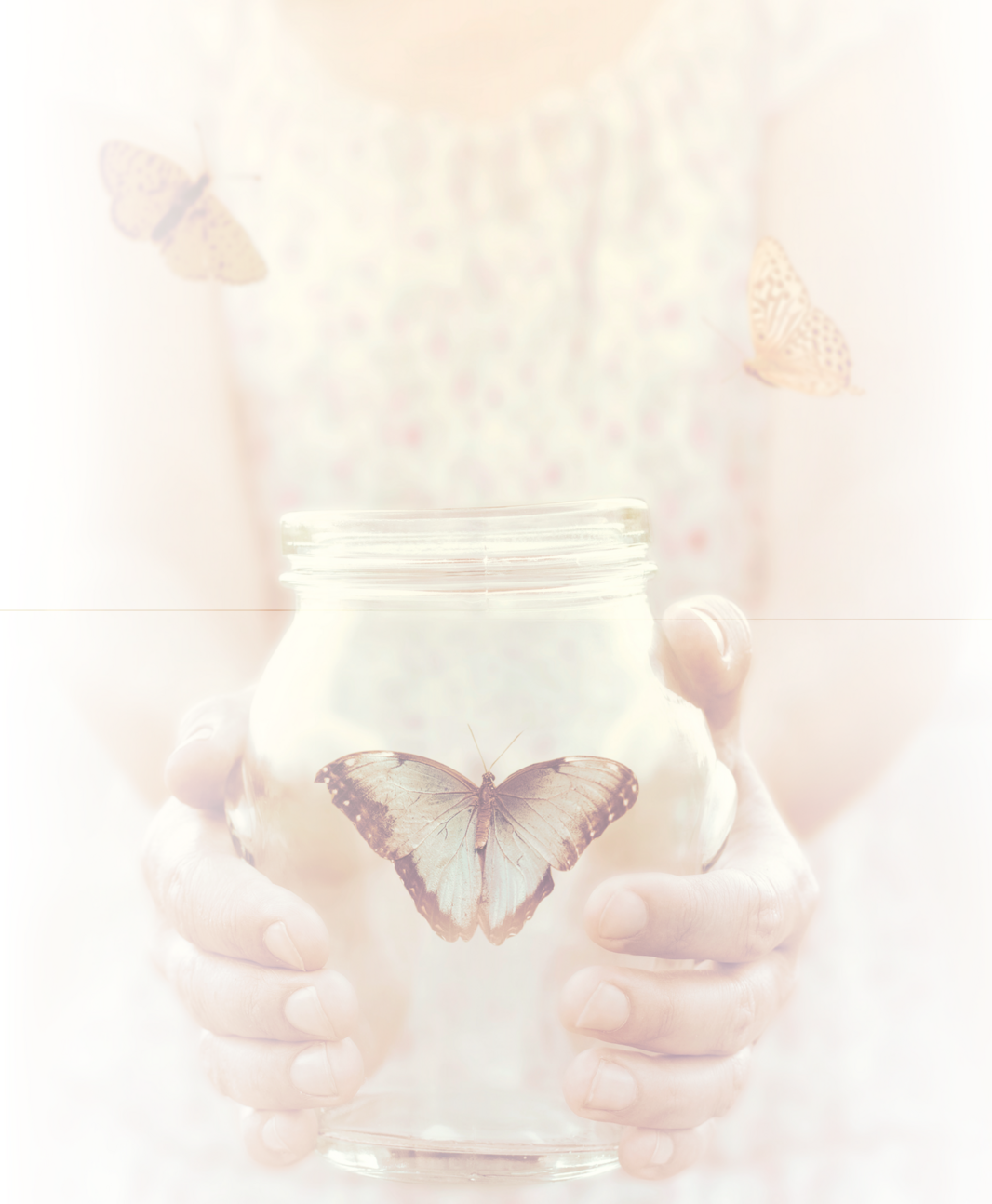 Home Page Butterfly