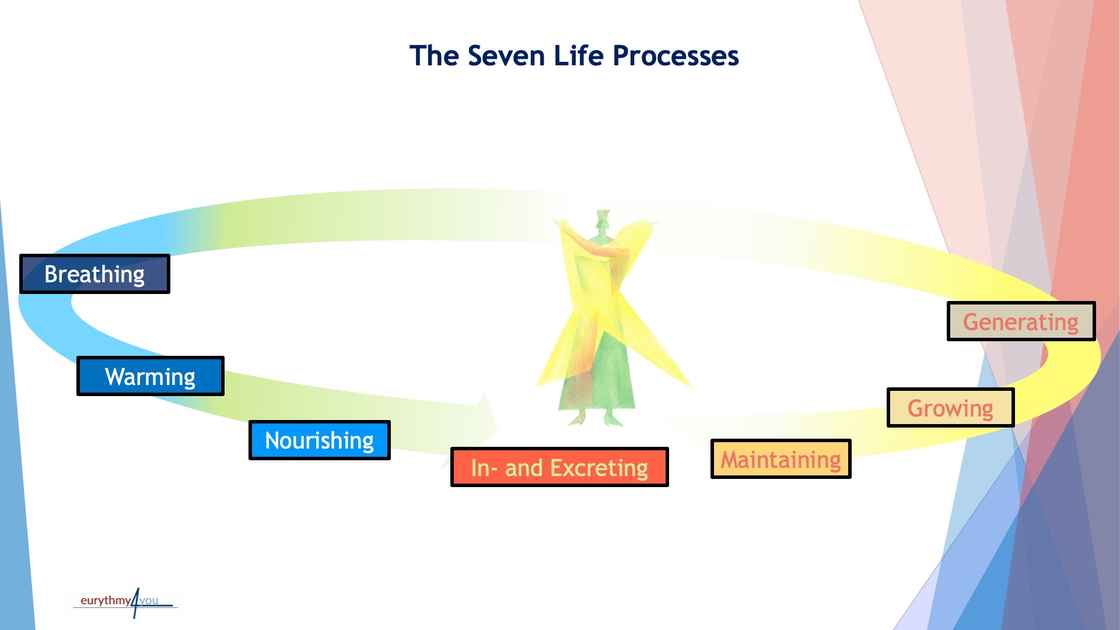 2023 ABSR-Stress factors - Life processes EN 5