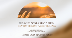 2 dages workshop med bevidsthedsfacilitering