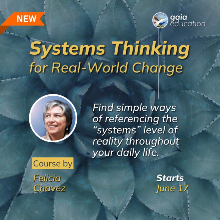 Course_Systems Thinking_IG post