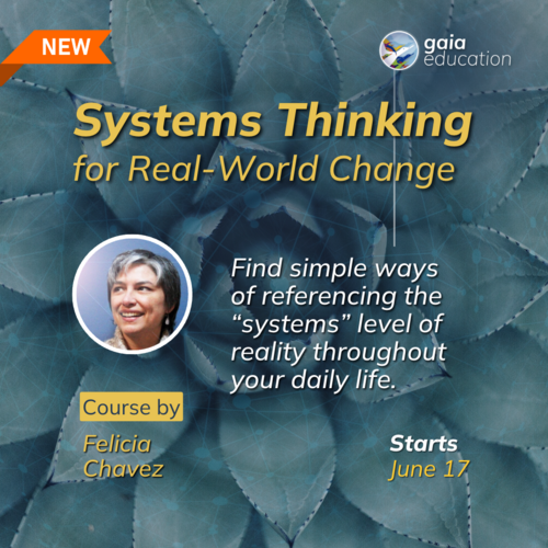 Course_Systems Thinking_IG post