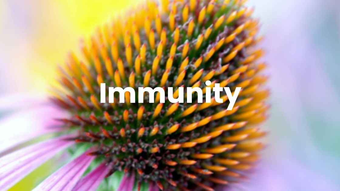 Immunity