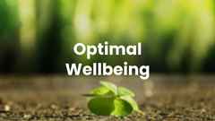 Optimal Wellbeing