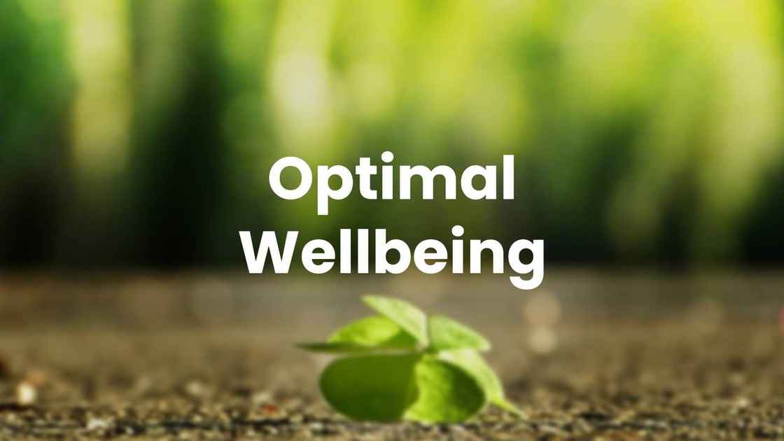 Optimal Wellbeing