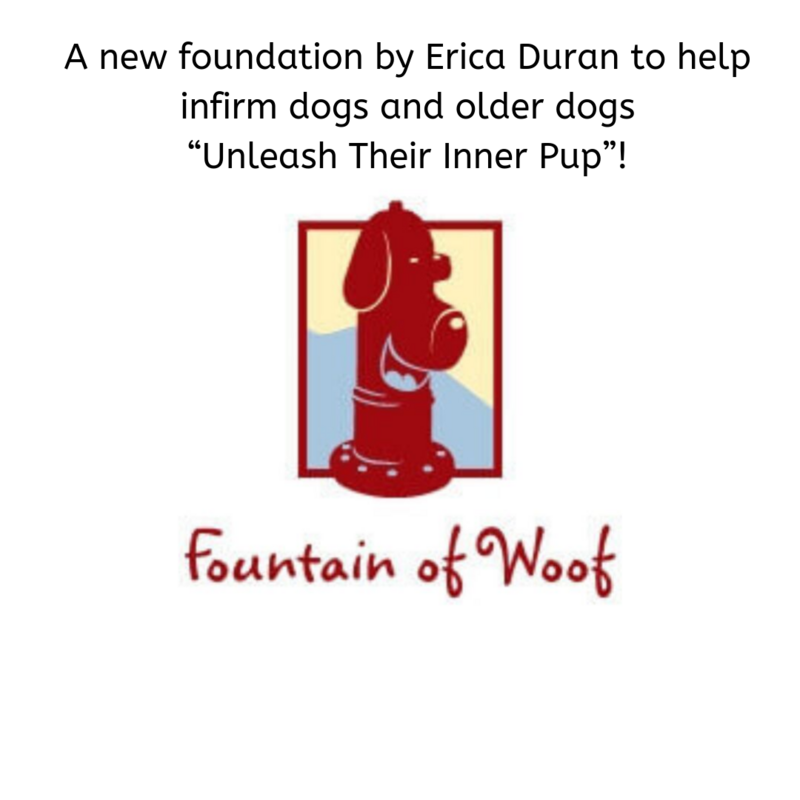 Erica-Durans-Fountain-Of-Woof-1080w-1080h