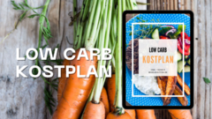 low carb kostplan