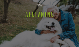 Euthanazing your dog-1 (1)