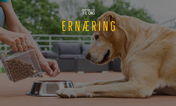 ernæring-1