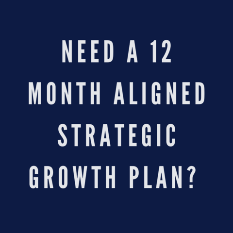 12 month strategic plan.workwithme