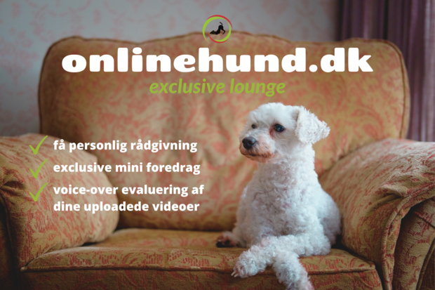 onlinehund.dk lounge