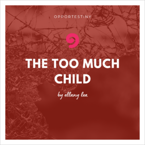 opportestiny-ebook-cover-child-too-much