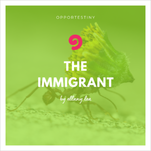 opportestiny-ebook-cover-adult-immigrant