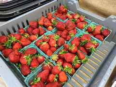 strawberry cartons in tray