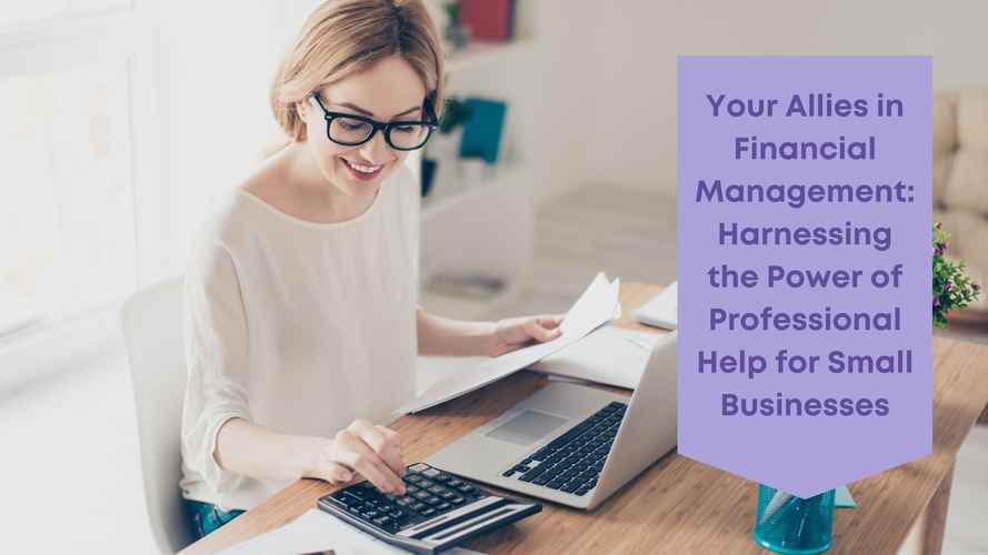 Business Numbers Blog - Your Allies in Financial Management Harnessing the Power of Professional Help for Small Businesses