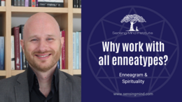 06 Why work with all enneatypes