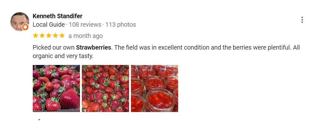 farm on central strawberry picking review 1