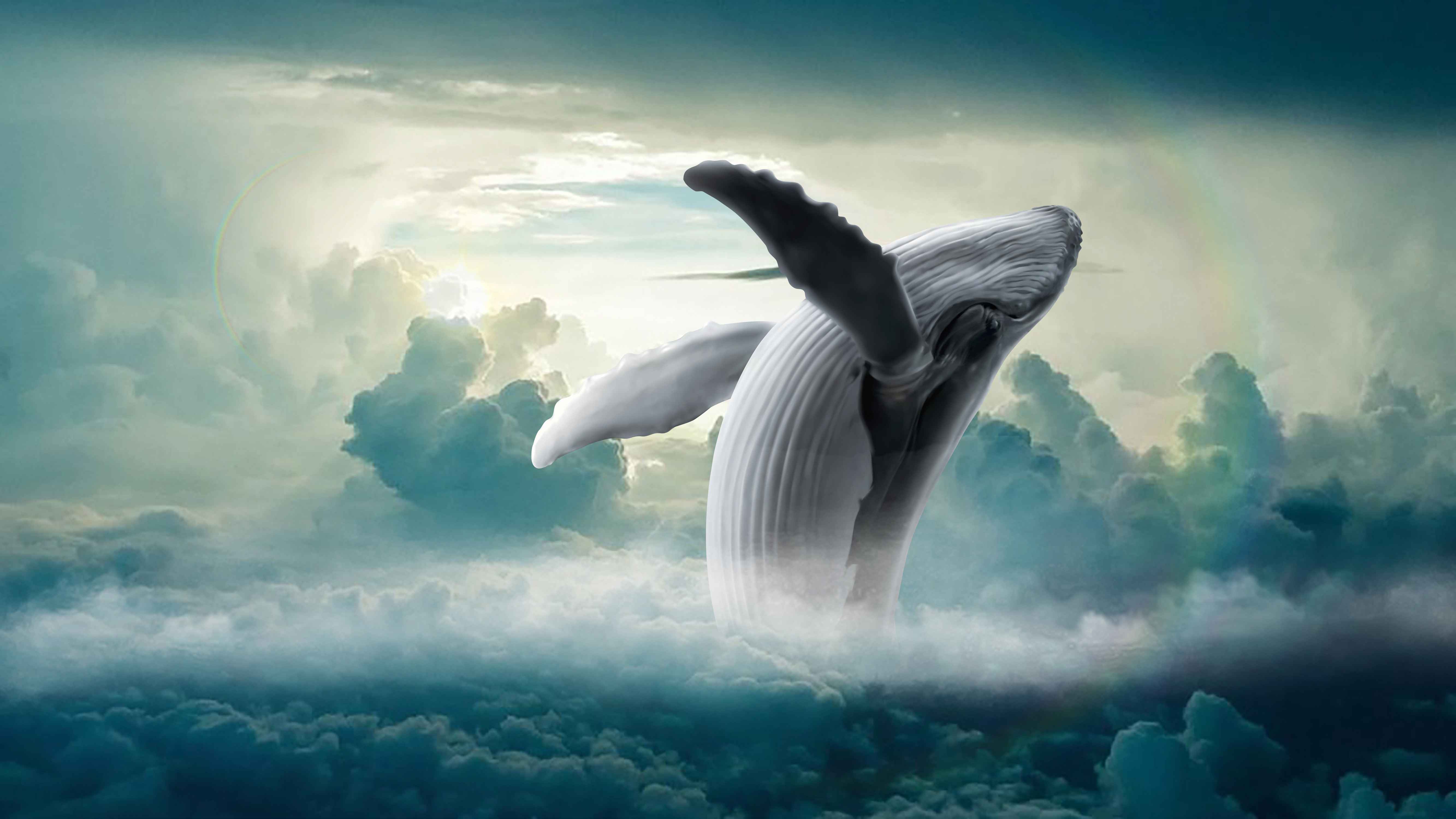 trust-fall-whale-in-clouds