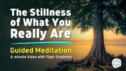 GM HSEP13 The Stillness of What You Really Are