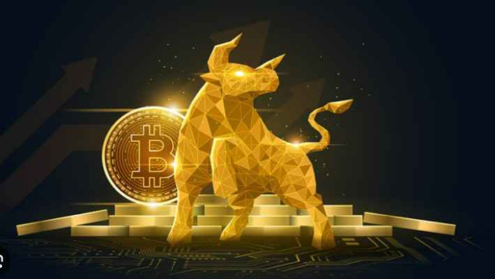 bitcoin bull 1