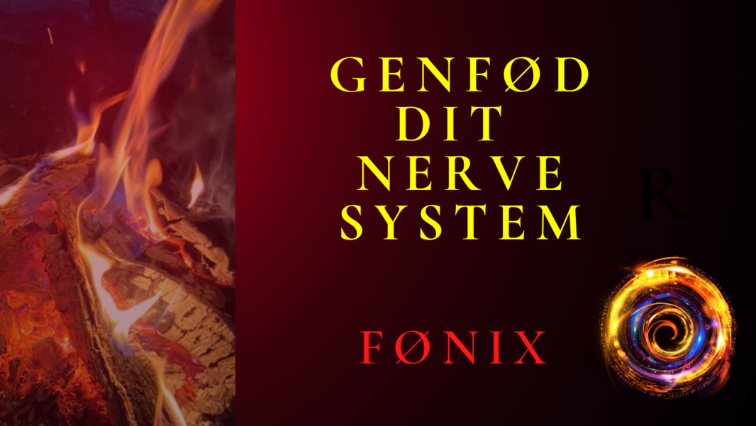 Genfød dit nervesystem Fønix