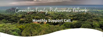 Copy of Connective Family Pro's Network (1)
